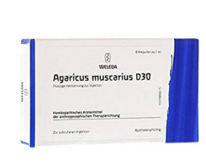 agaricus muscarius